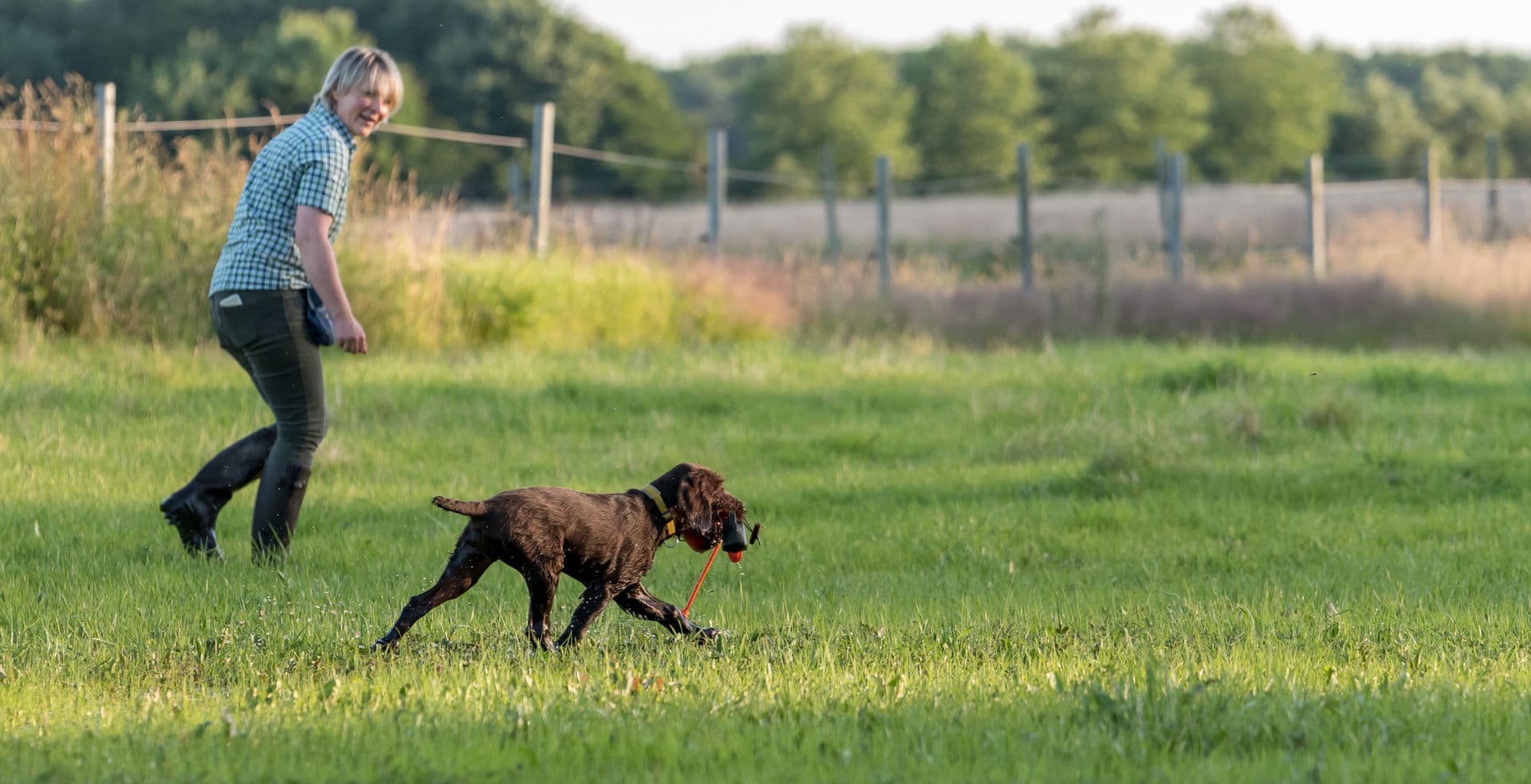 Jagdhundetraining im Feld